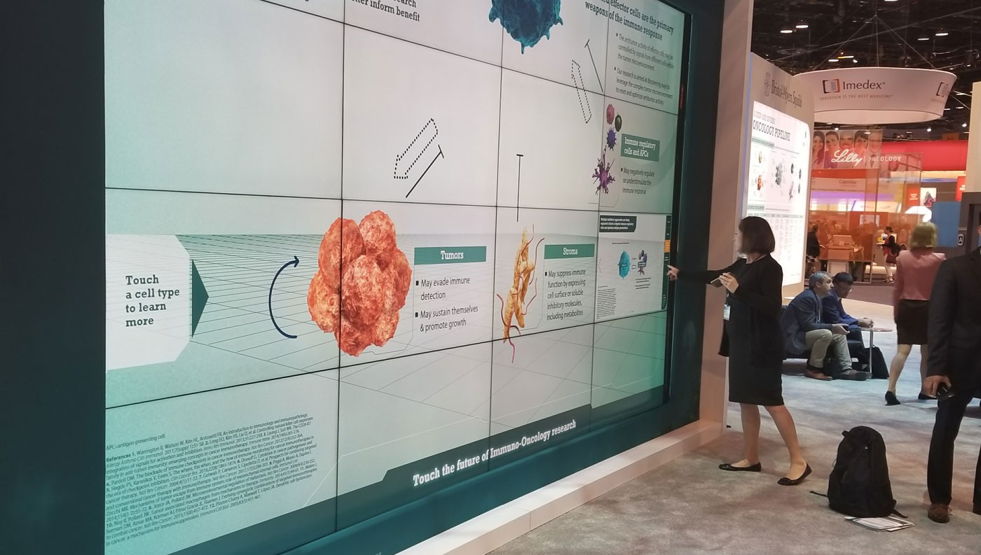 Visitor interacting with the large interactive wall display