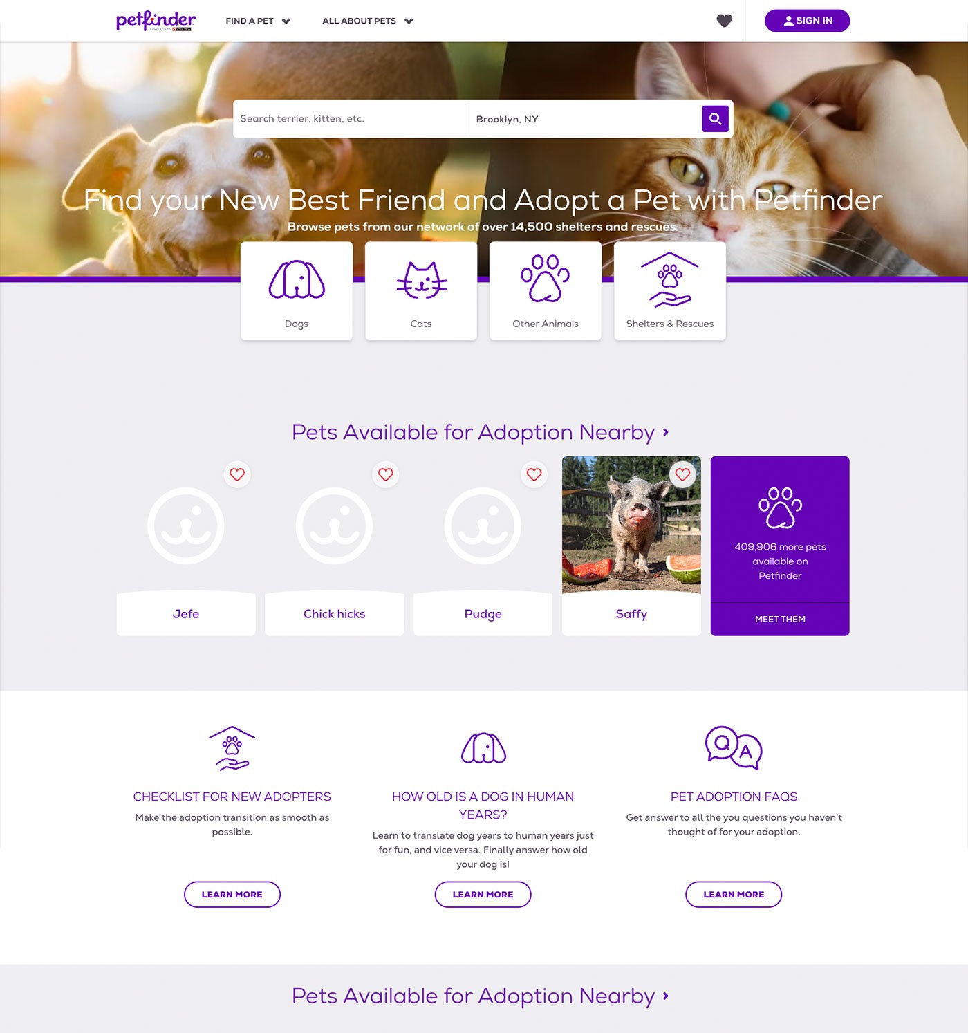 Petfinder consumer experience